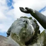 Decoding The Mystery: Why Is Bird Poop White