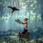 How High Can Chickens Jump (The Truth Revealed) New