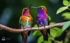 Hummingbirds in Virginia leave